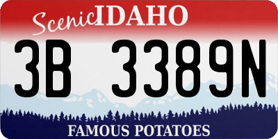 ID license plate 3B3389N