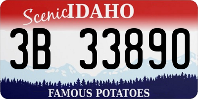 ID license plate 3B3389O