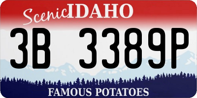 ID license plate 3B3389P