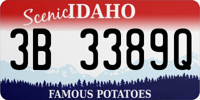 ID license plate 3B3389Q
