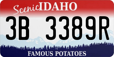 ID license plate 3B3389R