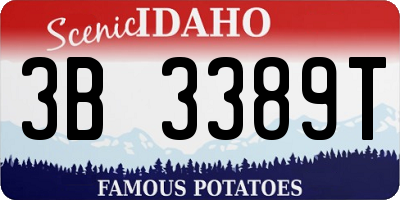 ID license plate 3B3389T