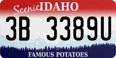 ID license plate 3B3389U