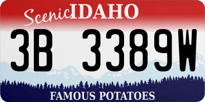 ID license plate 3B3389W