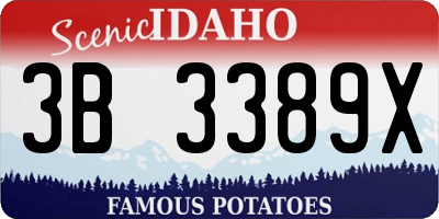 ID license plate 3B3389X