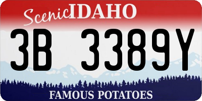 ID license plate 3B3389Y