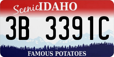 ID license plate 3B3391C