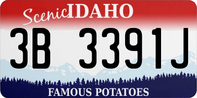 ID license plate 3B3391J