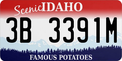 ID license plate 3B3391M