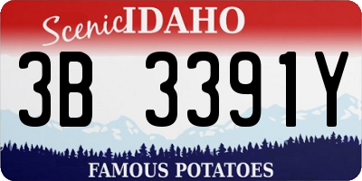 ID license plate 3B3391Y