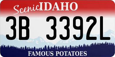 ID license plate 3B3392L