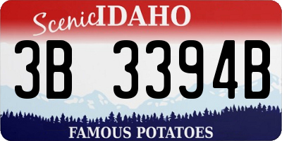 ID license plate 3B3394B