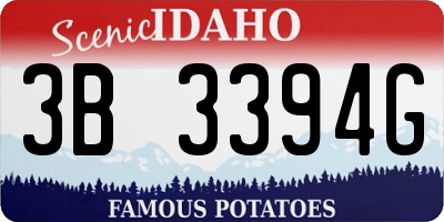 ID license plate 3B3394G