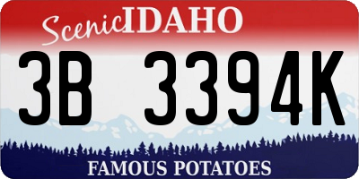ID license plate 3B3394K