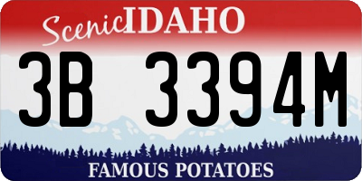 ID license plate 3B3394M