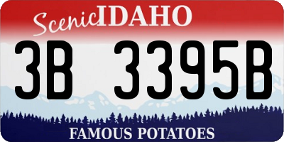ID license plate 3B3395B