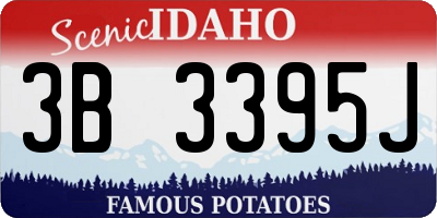 ID license plate 3B3395J