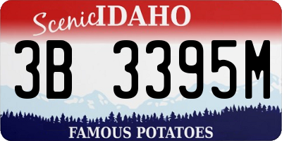 ID license plate 3B3395M