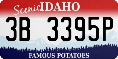ID license plate 3B3395P