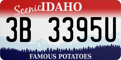 ID license plate 3B3395U