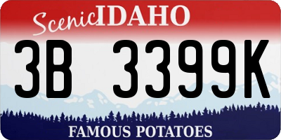ID license plate 3B3399K