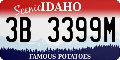 ID license plate 3B3399M
