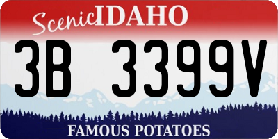 ID license plate 3B3399V