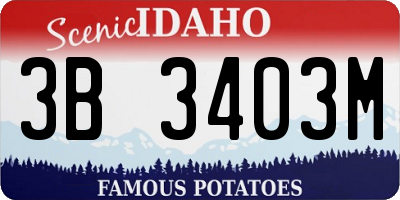 ID license plate 3B3403M