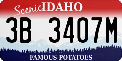 ID license plate 3B3407M