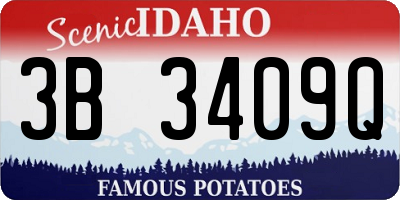 ID license plate 3B3409Q