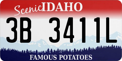 ID license plate 3B3411L