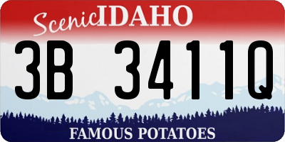 ID license plate 3B3411Q
