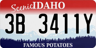 ID license plate 3B3411Y