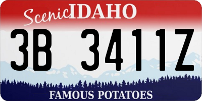 ID license plate 3B3411Z