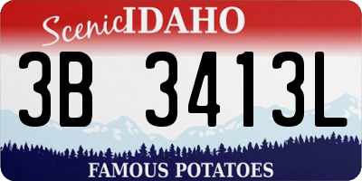 ID license plate 3B3413L