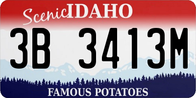 ID license plate 3B3413M