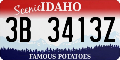 ID license plate 3B3413Z