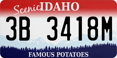 ID license plate 3B3418M