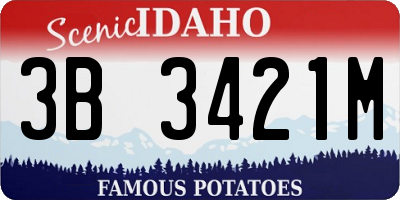 ID license plate 3B3421M
