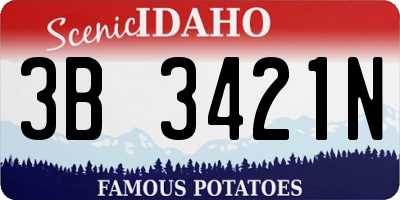 ID license plate 3B3421N