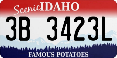 ID license plate 3B3423L