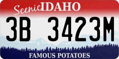 ID license plate 3B3423M