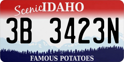 ID license plate 3B3423N