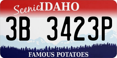 ID license plate 3B3423P