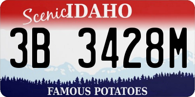 ID license plate 3B3428M