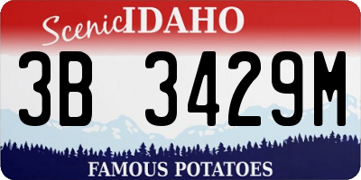 ID license plate 3B3429M