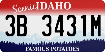ID license plate 3B3431M