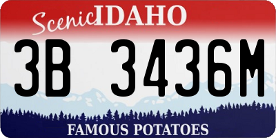 ID license plate 3B3436M
