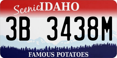 ID license plate 3B3438M