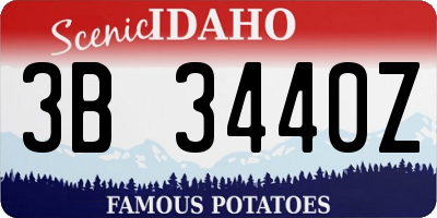 ID license plate 3B3440Z